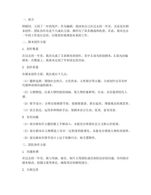 编剧年终自评总结报告