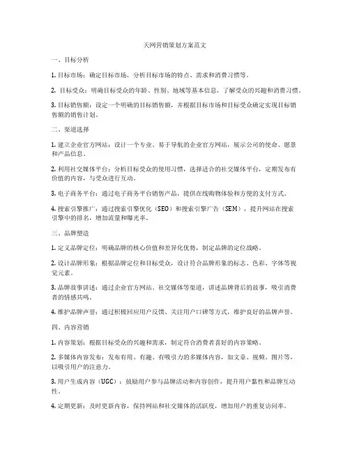 天网营销策划方案范文