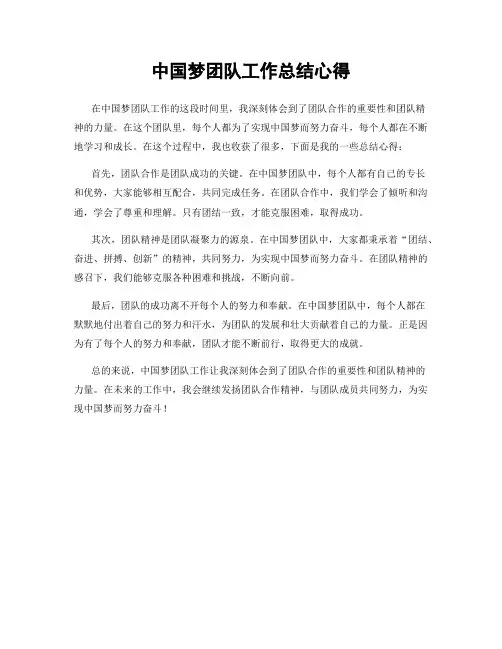 中国梦团队工作总结心得