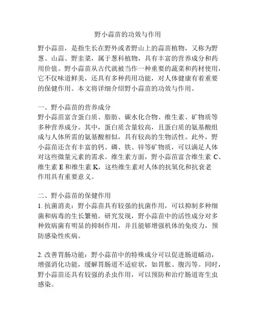 野小蒜苗的功效与作用