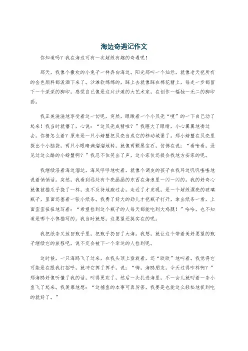 海边奇遇记作文