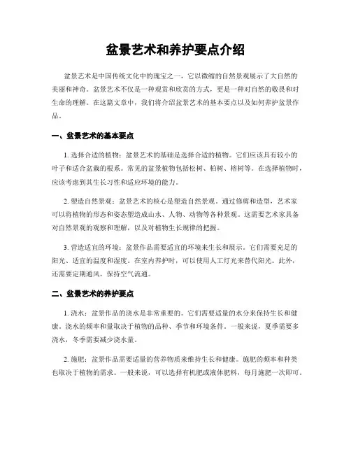 盆景艺术和养护要点介绍