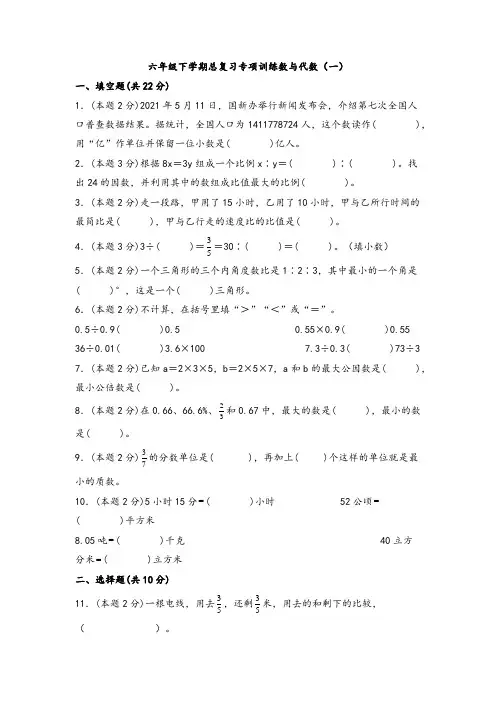 六年级下学期数学总复习专项训练：数与代数(一)(人教版,含答案)