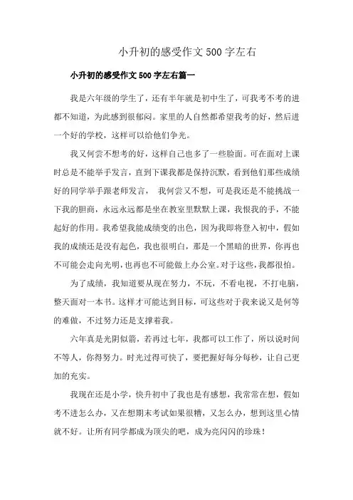 小升初的感受作文500字左右