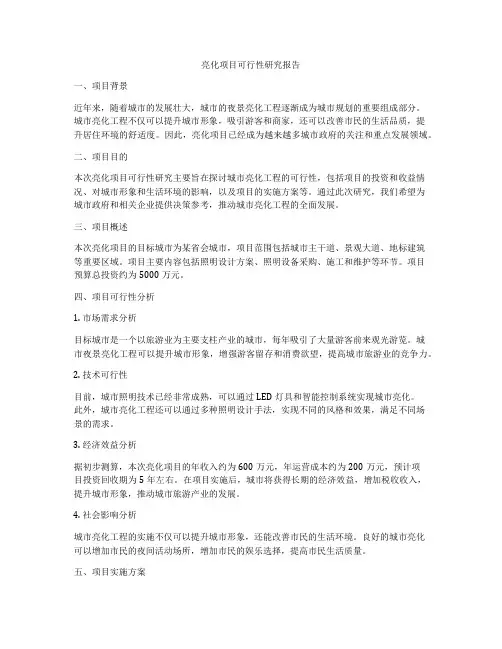亮化项目可行性研究报告