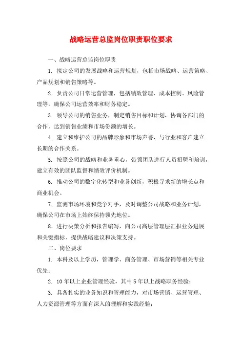 战略运营总监岗位职责职位要求