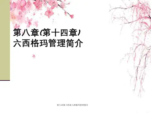 第八章第十四章六西格玛管理简介