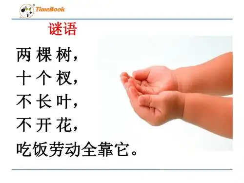识字1  手足口耳目