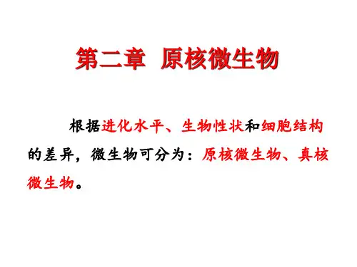 2、第二章 原核微生物