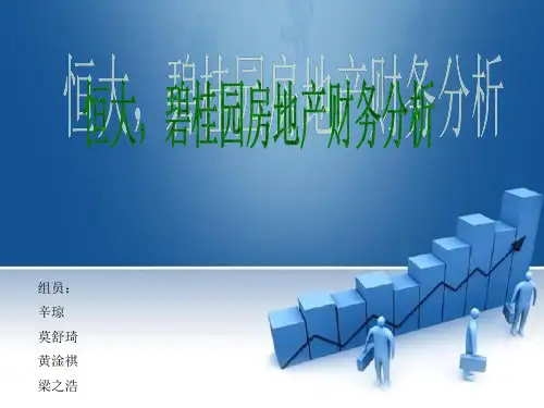 恒大碧桂园房地产财务分析