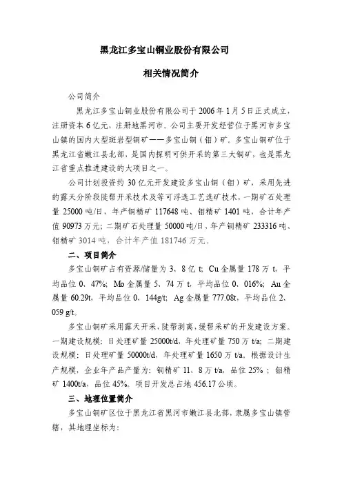 黑龙江多宝山铜业磨矿破碎浮选设备