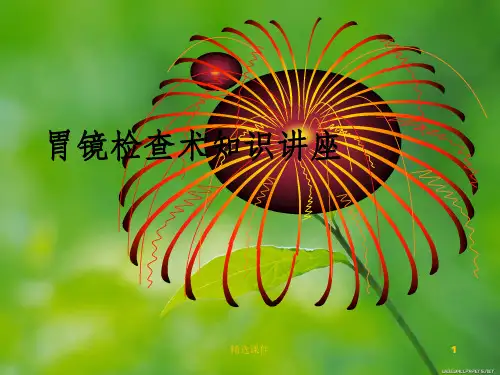 胃镜检查术知识讲座(1)