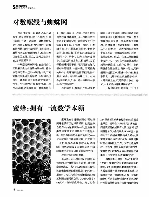 蜜蜂：拥有一流数学本领