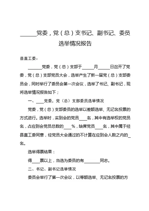 选举情况报告