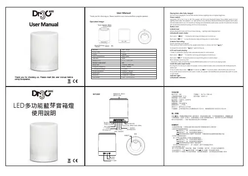 泰衡多功能藍芽音箱燈-使用手冊说明书