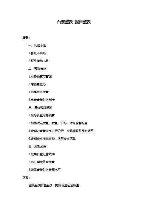 台账整改 报告整改