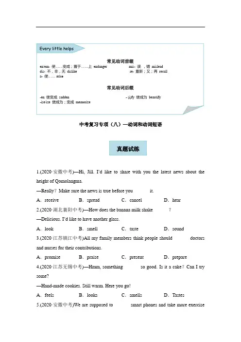 中考英语专项提分复习专项  (八)—动词和动词短语