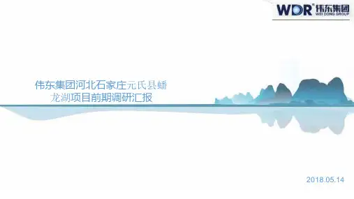 河北省石家庄蟠龙湖项目前期调研报告精编版