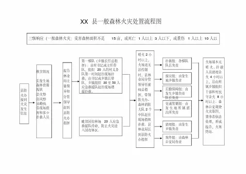 XX县处置森林火灾流程图(0)