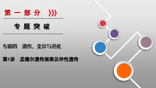 第1部分 专题4 第1讲孟德尔遗传规律及伴性遗传