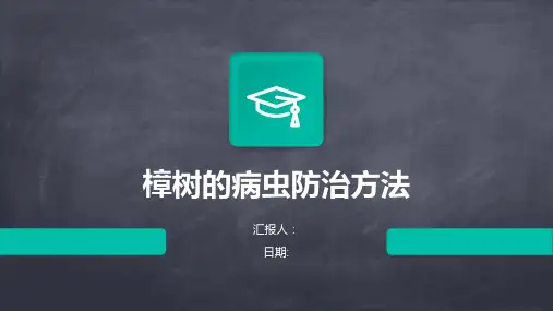 樟树的病虫防治方法