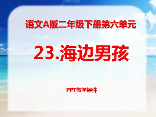 语文二下《海边的男孩》课件下载