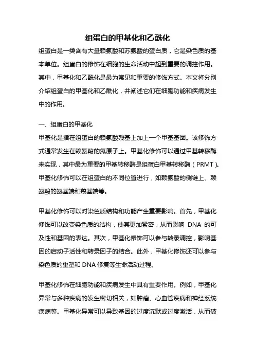 组蛋白的甲基化和乙酰化