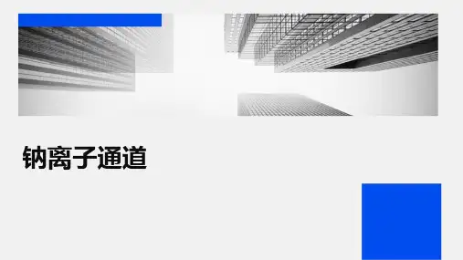 《钠离子通道》课件