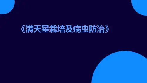 满天星栽培及病虫防治