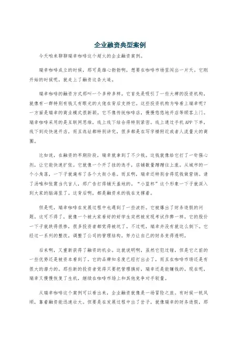 企业融资典型案例