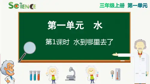 水到哪里去了小学三年级科学上册PPT课件