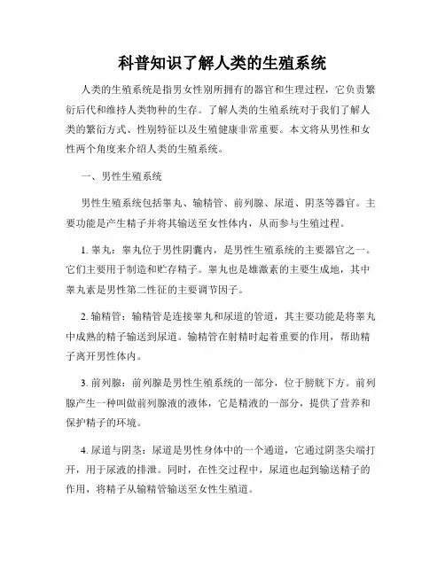 科普知识了解人类的生殖系统