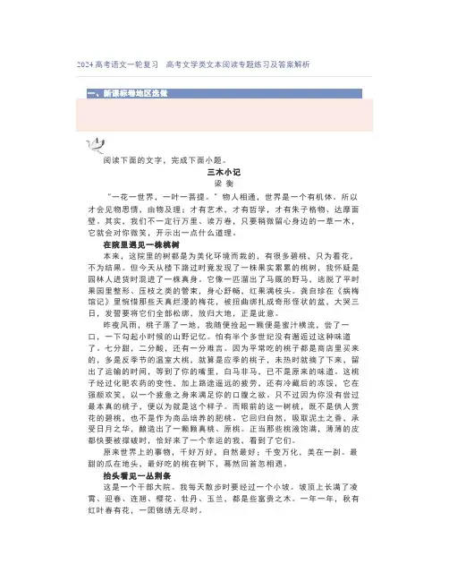 2024高考语文一轮复习高考文学类文本阅读专题练习及答案解析