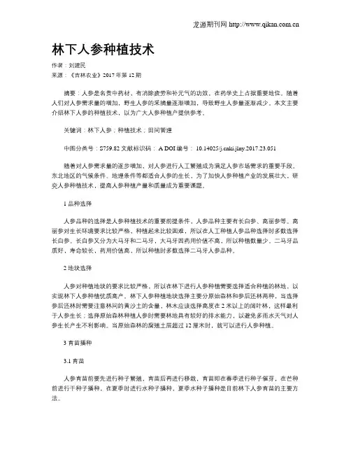 林下人参种植技术