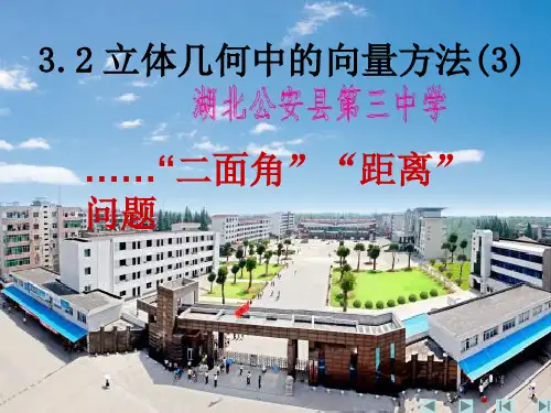 3[1].2.3立体几何中的向量方法求夹角、距离