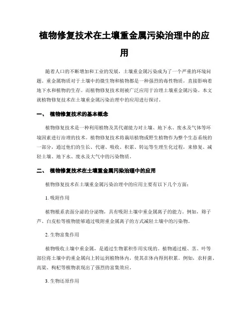 植物修复技术在土壤重金属污染治理中的应用