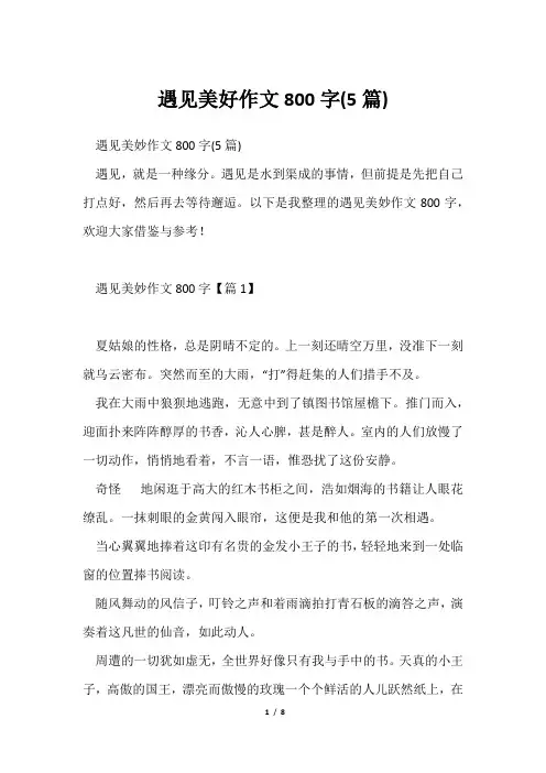 遇见美好作文800字(5篇)