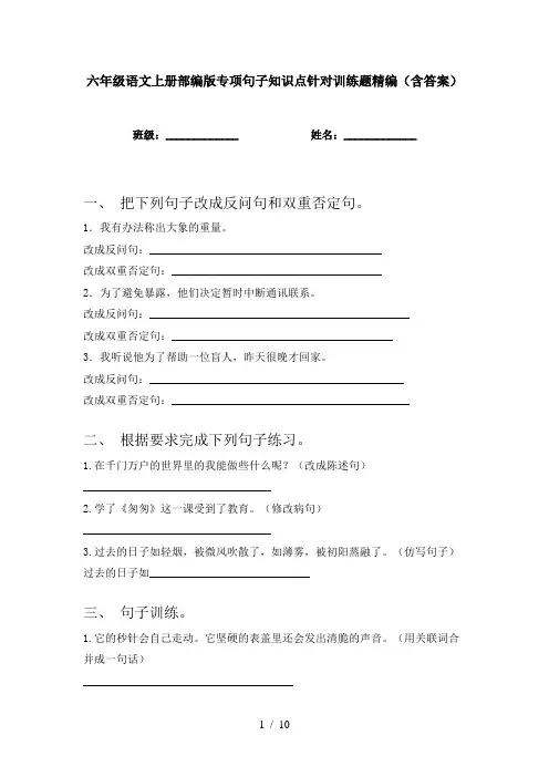 六年级语文上册部编版专项句子知识点针对训练题精编(含答案)