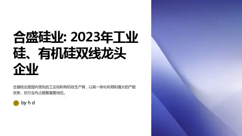 2023年合盛硅业研究报告一体化布局完善的工业硅、有机硅双线龙头企业