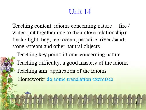 英语惯用法教程——隐喻学视角 PPT Unit 14