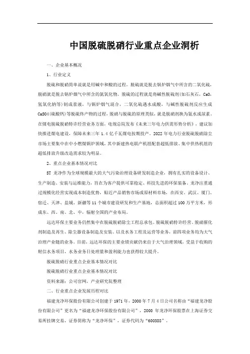 中国脱硫脱硝行业重点企业洞析