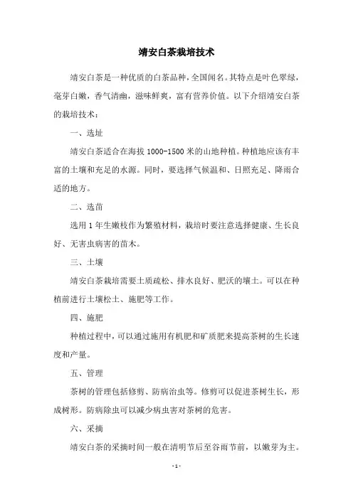 靖安白茶栽培技术