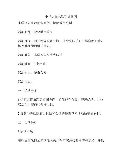 小学少先队活动课案例