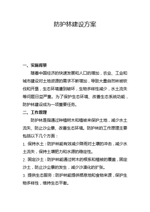 防护林建设方案(一)