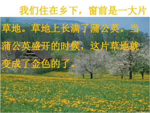 三年级上册语文课件金色的草地人教部编版PPT20页