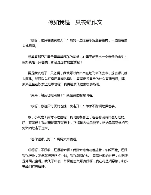 假如我是一只苍蝇作文