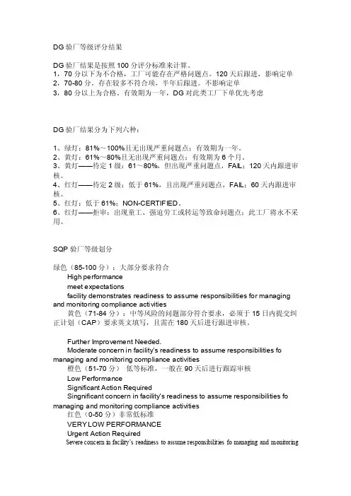 dg验厂等级评分结果