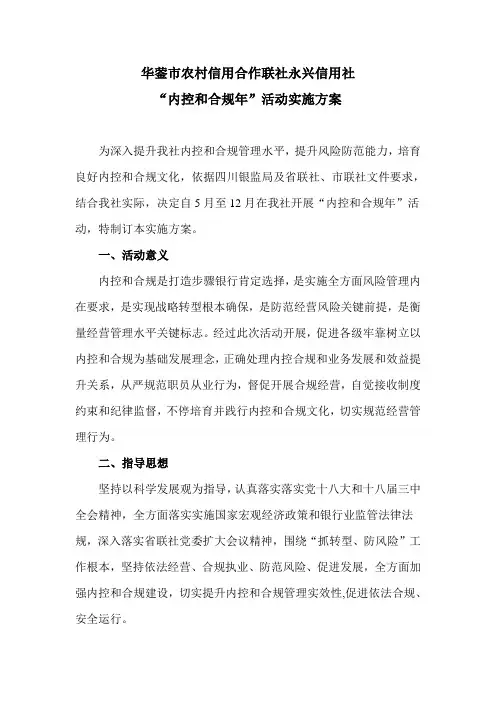 内控与合规年实施专项方案