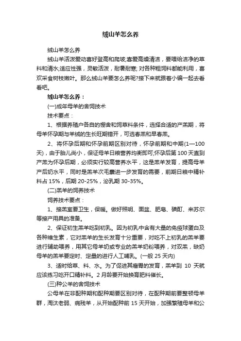 绒山羊怎么养