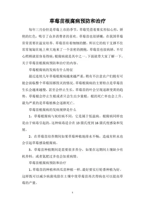 草莓苗根腐病预防和治疗